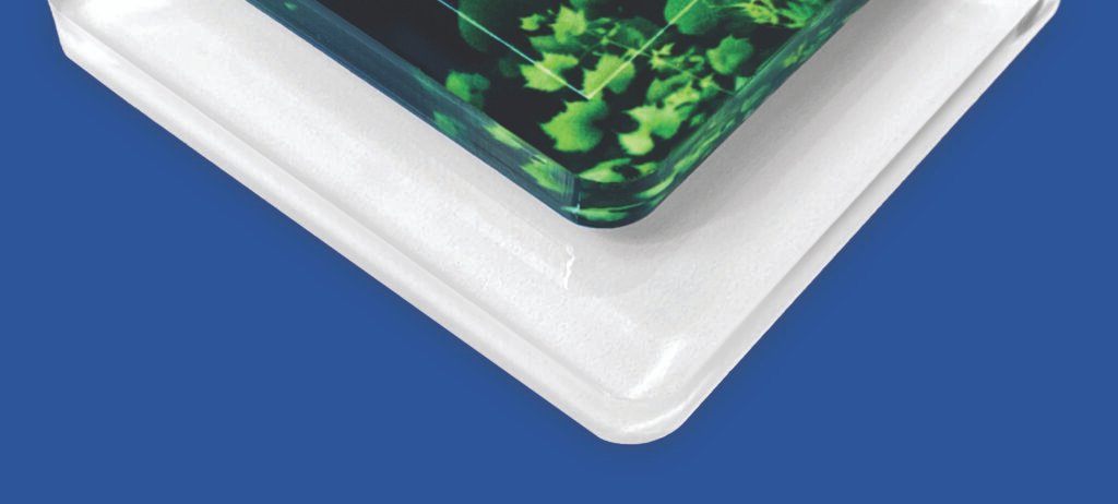 Corner Profile Image 1024x462 1