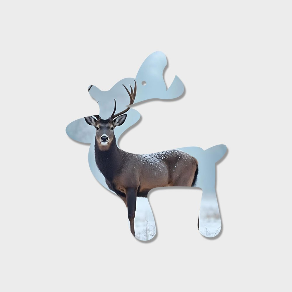 Christmas Ornaments CO-13