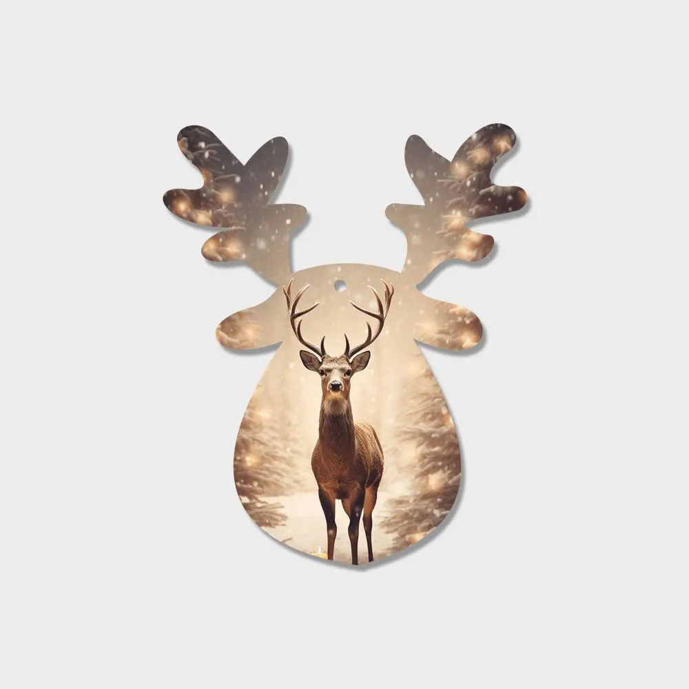 Christmas Ornaments CO-22